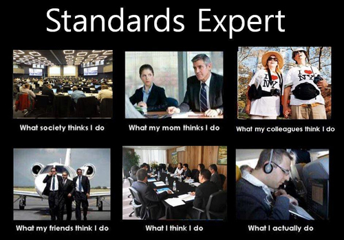 Standards Expert